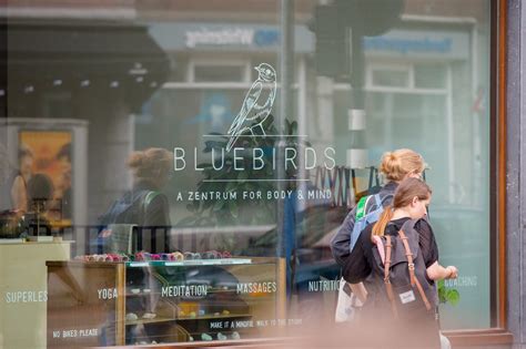 Bluebirds Amsterdam Oost, West, Zuid, Haarlem .